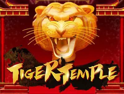 Play Tiger Temple Today: Cafe Newest Slot Game