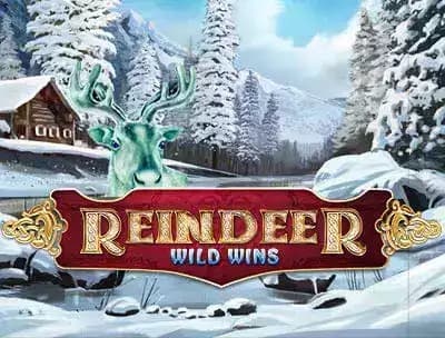 Play Reindeer Wild Spins New Slot Game | Cafe Casino