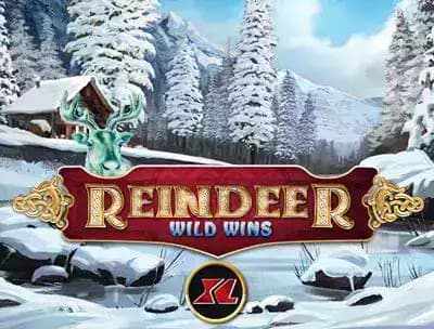 Play Reindeer Wild Wins XL  New Slot Game | Cafe Casino