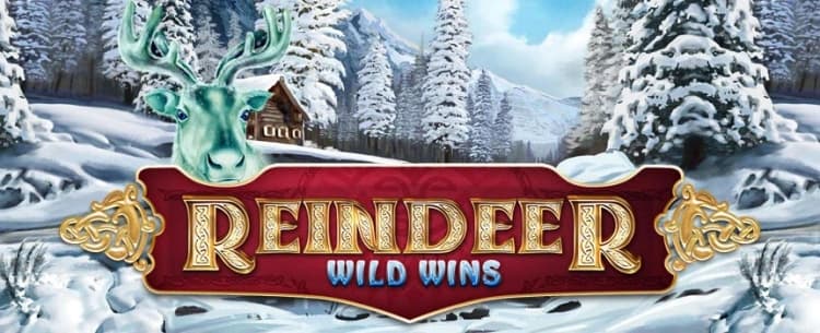 Play Reindeer Wild Spins New Slot Game | Cafe Casino