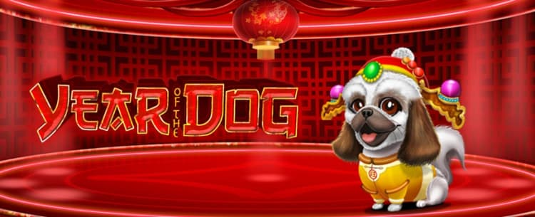 Play Year of the Dog Today !