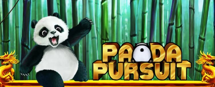 Play Panda Pursuit Today and Win Big 