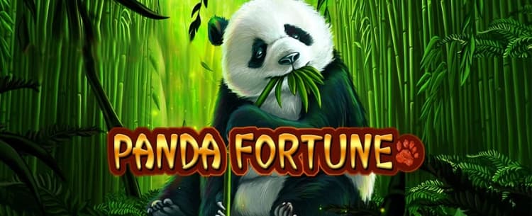 Play Panda Fortune Today: The winning slots