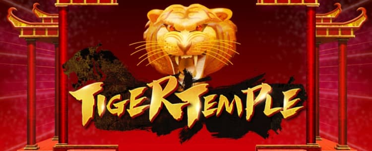 Play Tiger Temple Today: Cafe Newest Slot Game