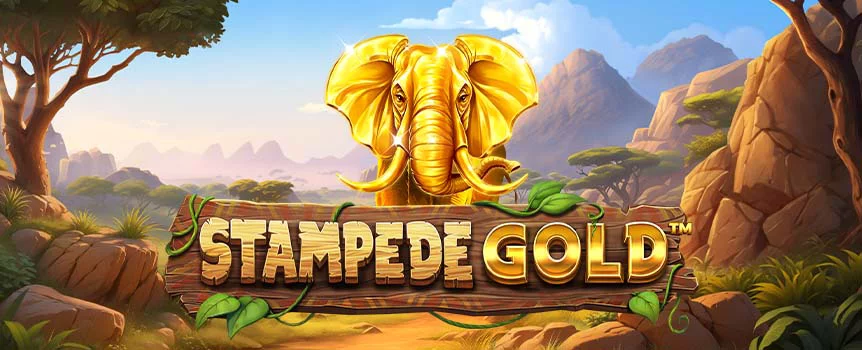 Go on the ultimate African safari run in Stampede Gold with 1,024 ways to win. Spin this online slot at Cafe Casino and see how many golden elephants you can collect! 